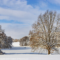 Buy canvas prints of Countryside after heavy snowfall in central Europe by Sergey Fedoskin