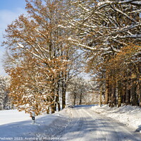 Buy canvas prints of Road in the countryside after heavy snowfall in central Europe by Sergey Fedoskin
