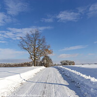 Buy canvas prints of Road in the countryside after heavy snowfall in central Europe by Sergey Fedoskin