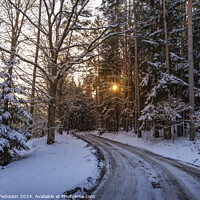 Buy canvas prints of Small country road in winter with sunshine on trees by Sergey Fedoskin