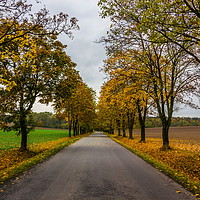 Buy canvas prints of Rural road in European countrisidet. by Sergey Fedoskin