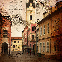 Buy canvas prints of Street in Trebon city. Czechia. by Sergey Fedoskin