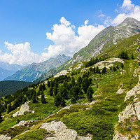Buy canvas prints of Summer in the Swiss Alps by Sergey Fedoskin
