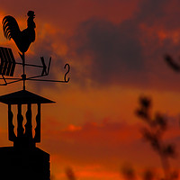 Buy canvas prints of Roof weather vane in the shape of a cockerel by Sergey Fedoskin