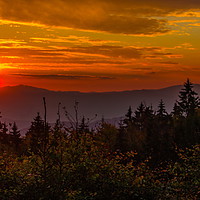 Buy canvas prints of Sunset in Sumava forest. by Sergey Fedoskin