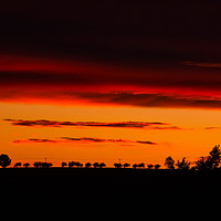 Buy canvas prints of Orange sunset ower fields. by Sergey Fedoskin