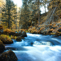 Buy canvas prints of Autumn creek in Austrian Alps. by Sergey Fedoskin