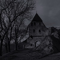 Buy canvas prints of Ruins of castle Tocnik. Czech Republic. by Sergey Fedoskin