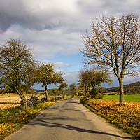 Buy canvas prints of Autumn countryside road. by Sergey Fedoskin