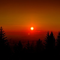 Buy canvas prints of Sunset over forest by Sergey Fedoskin