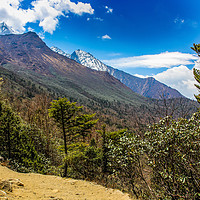 Buy canvas prints of Valley in mountains of Sagarmatha National Park in by Sergey Fedoskin