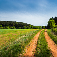 Buy canvas prints of Countryside road in summer field. South Bohemian r by Sergey Fedoskin