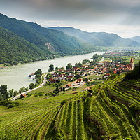 Buy canvas prints of Wachau valley with the Danube river and vineyards. by Sergey Fedoskin