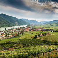 Buy canvas prints of Wachau valley with Danube river and vineyards. by Sergey Fedoskin