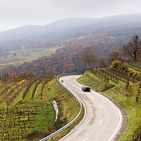 Buy canvas prints of Road between vineyards, Wachau, Austria. by Sergey Fedoskin