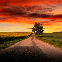 Buy canvas prints of Sunset over empty countryside road. Summer evening by Sergey Fedoskin