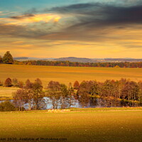 Buy canvas prints of Autumnal landscape with colorful trees. South Bohemian region, Czech Republic. by Sergey Fedoskin
