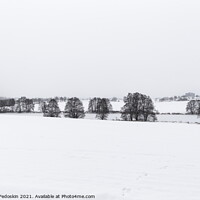 Buy canvas prints of Snow covered winter fields. by Sergey Fedoskin