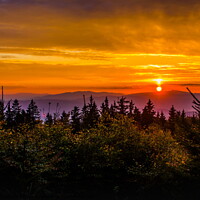 Buy canvas prints of Sunset over forest. by Sergey Fedoskin
