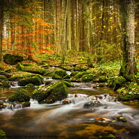 Buy canvas prints of Autumn creek by Sergey Fedoskin