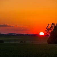 Buy canvas prints of Summer sunset. by Sergey Fedoskin