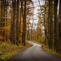 Buy canvas prints of Road in autumn forest. by Sergey Fedoskin