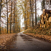 Buy canvas prints of Autumn scene with road in forest. Late fall. by Sergey Fedoskin