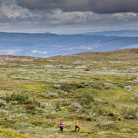 Buy canvas prints of trail running by Hamperium Photography