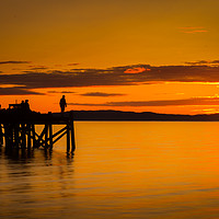 Buy canvas prints of Sunset in Trondheim by Hamperium Photography