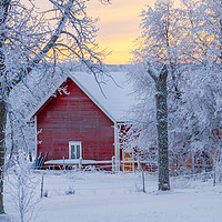 Buy canvas prints of A cold winter day in Sweden by Hamperium Photography