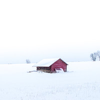 Buy canvas prints of Swedish winter by Hamperium Photography