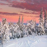 Buy canvas prints of Åre Sweden in the winter. by Hamperium Photography