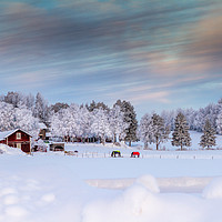 Buy canvas prints of Winter in Sweden by Hamperium Photography