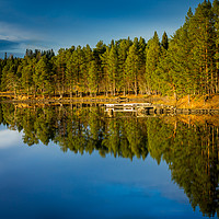 Buy canvas prints of the mirror of the lake by Hamperium Photography