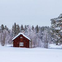 Buy canvas prints of Snow in Sweden by Hamperium Photography