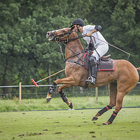 Buy canvas prints of Polo competition in Belgium by Hamperium Photography