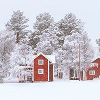 Buy canvas prints of Winter in Sweden by Hamperium Photography