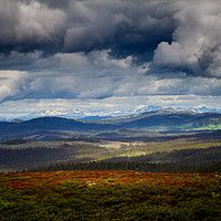 Buy canvas prints of Rondane National Park Norway by Hamperium Photography