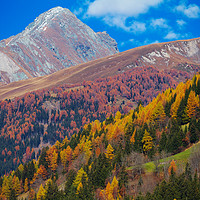 Buy canvas prints of East Tirol in autumn. Austria. by Tartalja 