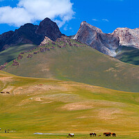Buy canvas prints of Kyrgyzstan. Mountain landscape with herd of horses and mobile ho by Tartalja 