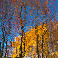 Buy canvas prints of Autumn trees reflected on water by Tartalja 