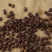 Buy canvas prints of scattered coffee bean by Andrey Lipinskiy