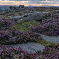 Buy canvas prints of Higger Tor Heather Sunset by Ian Haworth