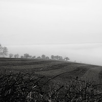 Buy canvas prints of Mist over rolling hills of Laugharne  by bethan griffiths