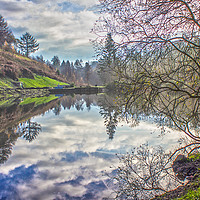 Buy canvas prints of Penllergaer woods, swansea, lake by bethan griffiths