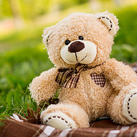 Buy canvas prints of teddy bear on the green grass by Gaukhar Yerk