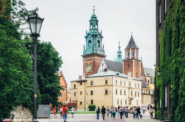 Royal Archcathedral Basilica and Wawel Castle. Picture Board by Andrei Bortnikau