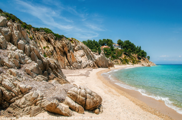 Wild beach in Vourvourou, Sithonia, Greece Picture Board by Andrei Bortnikau