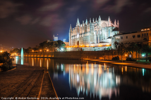 La Seu, the gothic medieval cathedral of Palma de  Picture Board by Andrei Bortnikau