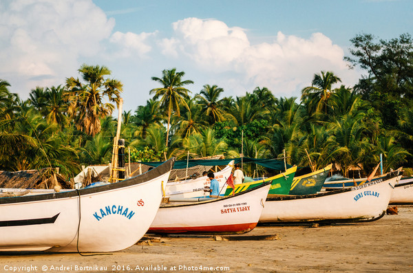 Wooden fishing boats on Morjim beach, Goa, India Picture Board by Andrei Bortnikau